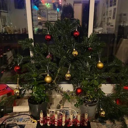 Rock'n'hostel ホステル ヴィリニュス